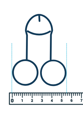 Measuring diagram: a ruler placed behind the relaxed scrotum