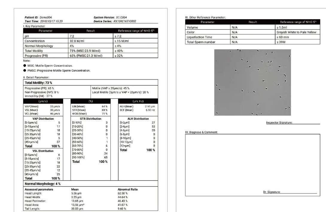 Two-page CASA report