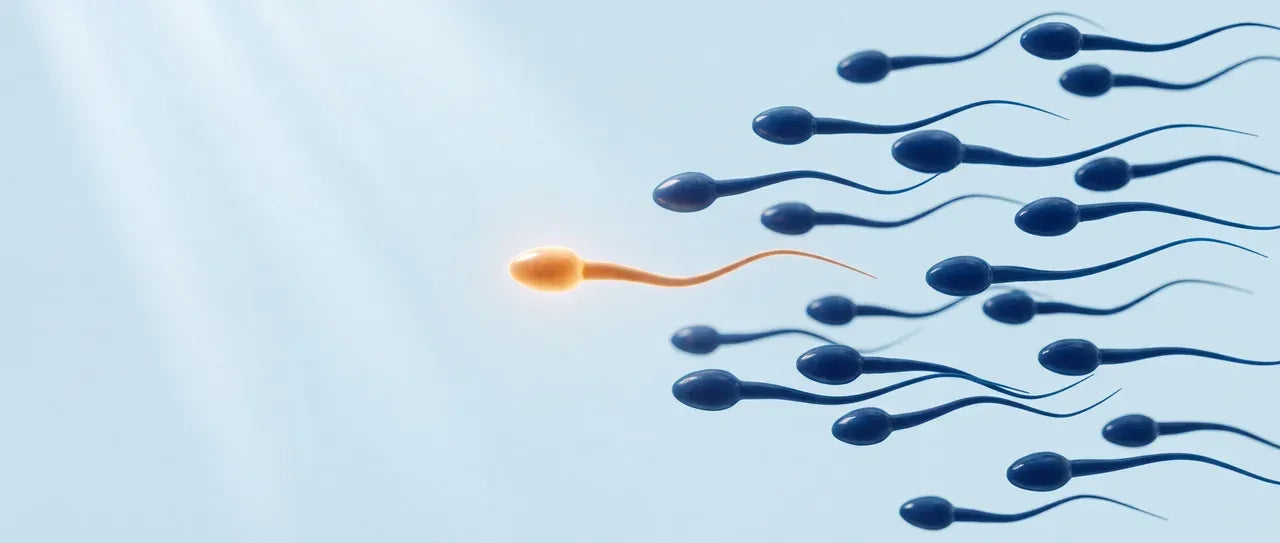 One cell leading the field